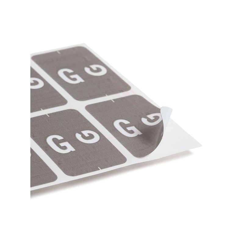 Smead AlphaZ ACCS Color-Coded Alphabetic Label, G, Gray, 100 Labels per Pack (67177) - Image 4